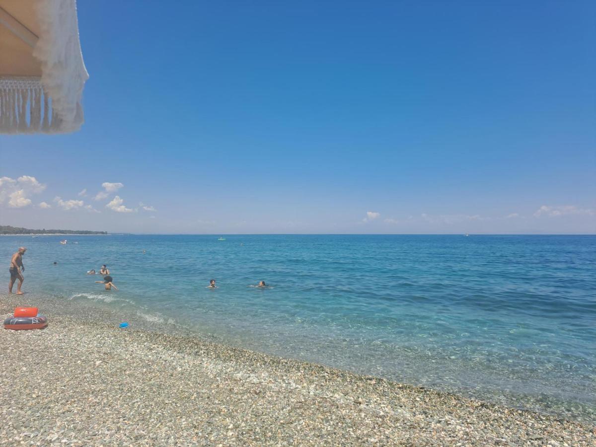 Olympus Paradise 5 * Skotina
